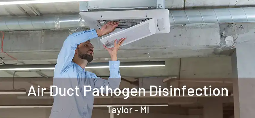  Air Duct Pathogen Disinfection Taylor - MI