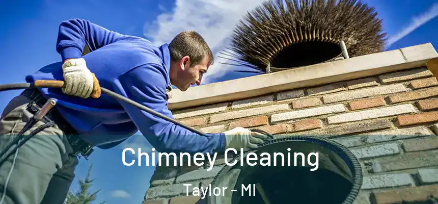 Chimney Cleaning Taylor - MI