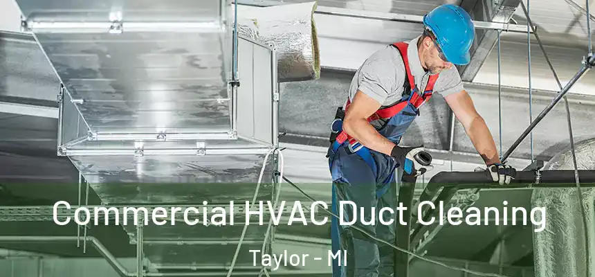Commercial HVAC Duct Cleaning Taylor - MI