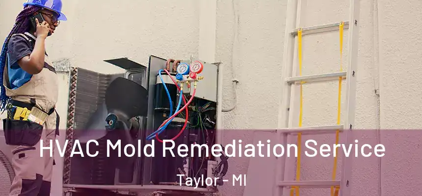  HVAC Mold Remediation Service Taylor - MI