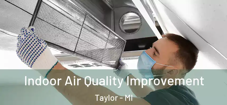  Indoor Air Quality Improvement Taylor - MI