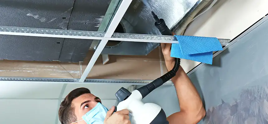 Our Air Duct Rodent Removal Services in Taylor, MI