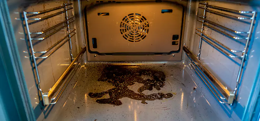 Our Dryer Vent Mold Cleaning Services in Taylor, MI