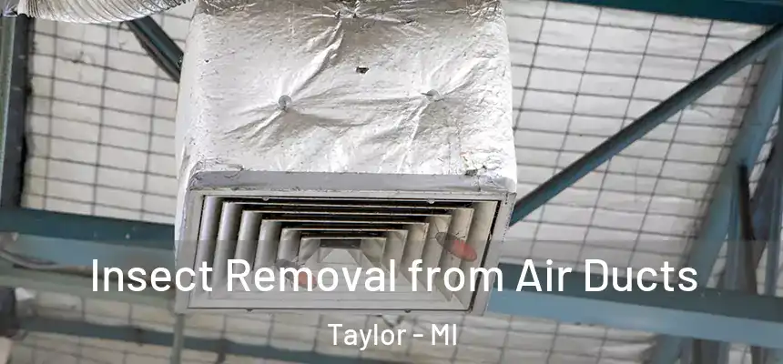  Insect Removal from Air Ducts Taylor - MI