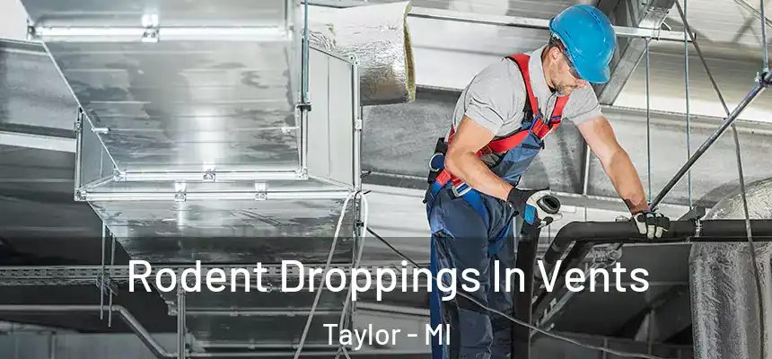  Rodent Droppings In Vents Taylor - MI