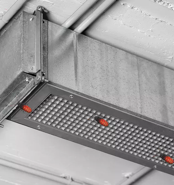 About Air Duct Cockroach Removal in Taylor, MI