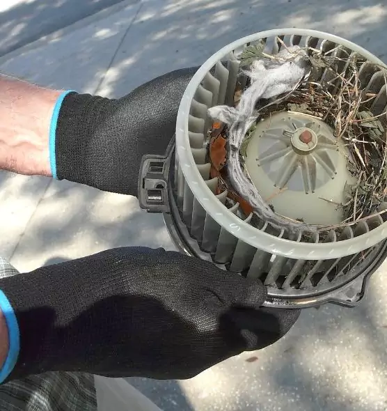 About Air Duct Rat Removal in Taylor, MI