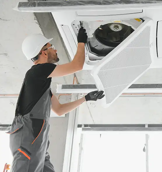 About Air Duct Rodent Removal in Taylor, MI