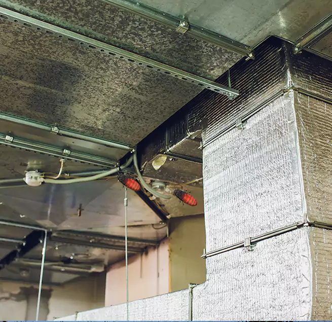 Why Homeowners & Businesses Trust Us in Taylor, MI?